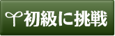 初級に挑戦